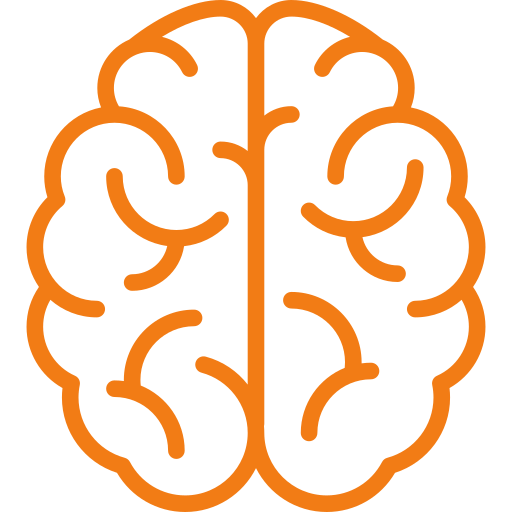 brain